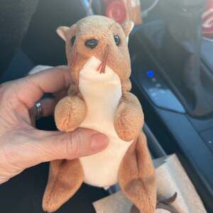 Beanie Baby Nuts. 1996. Bottom Tag Attached. Good Condition.